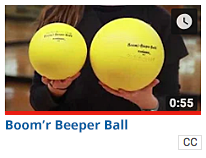 Boom'r Beeper Ball